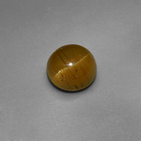 1.47カラットの天然ゴールデングリーンCat's Eye Apatite（6.46 mm・ラウンドカット）