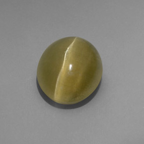 4.80カラットの天然グリーンCat's Eye Apatite（10.6×8.9 mm・透明）