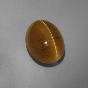 9.54カラットの天然緑がかったゴールドCat's Eye Apatite（14.4×10.5 mm・透明）