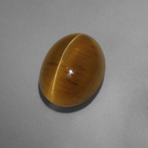 9.54カラットの天然緑がかったゴールドCat's Eye Apatite（14.4×10.5 mm・透明）