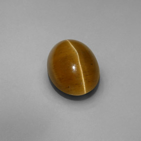 6.13カラットの天然緑がかったゴールドCat's Eye Apatite（12.3×9.4 mm・透明）