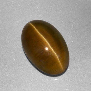 3.86カラットの天然緑がかったゴールドCat's Eye Apatite（11.3×7.5 mm・透明）