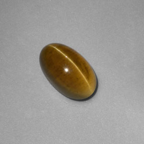 2.58カラットの天然緑がかったゴールドCat's Eye Apatite（9.5×5.9 mm・透明）