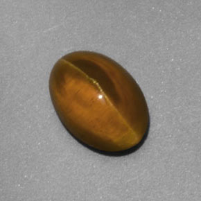 2.02カラットの天然緑がかったゴールドCat's Eye Apatite（8.3×5.9 mm・透明）