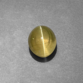 1.82カラットの天然ゴールドグリーンキャッツアイアパタイト、透明、透明/半透明