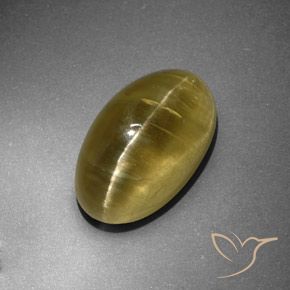 12.95ct 天然 アーシーイエロー キャッツアイアパタイト, 楕円形, 半透明
