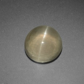 5.65カラットの天然イエローグリーンキャッツアイアパタイト、ラウンドカット、半透明