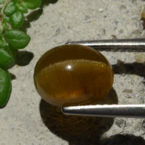 3.16カラットの天然オレンジキャッツアイアパタイト、オーバルカット、半透明