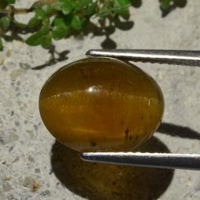 5.80カラットの天然ミディアムブラウンキャッツアイアパタイト、オーバルカット、半透明