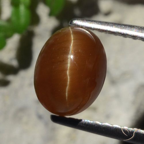 2.05カラットの天然ディープブラウンCat's Eye Apatite（7.9×6.1 mm・オーバルカット）