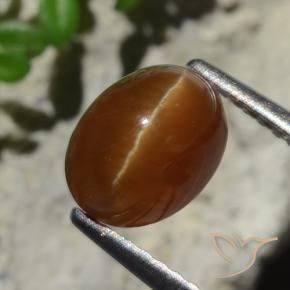 2.05カラットの天然ディープブラウンCat's Eye Apatite（7.9×6.1 mm・オーバルカット）