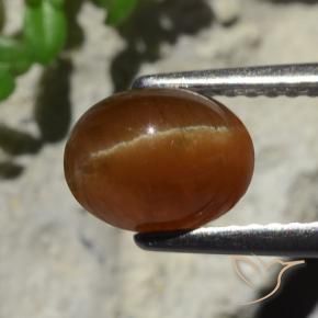 2.05カラットの天然ディープブラウンCat's Eye Apatite（7.9×6.1 mm・オーバルカット）