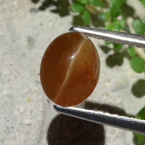 1.91カラットの天然ジンジャーブレッドブラウンCat's Eye Apatite（8×6.3 mm・オーバルカット）
