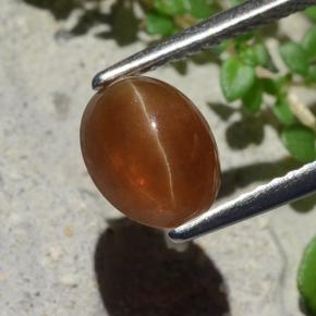 1.91カラットの天然ジンジャーブレッドブラウンCat's Eye Apatite（8×6.3 mm・オーバルカット）