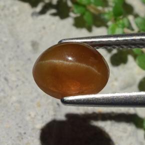 1.91カラットの天然ジンジャーブレッドブラウンCat's Eye Apatite（8×6.3 mm・オーバルカット）