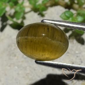 3.38カラットの天然アーシーイエローキャッツアイアパタイト、オーバルカット、半透明