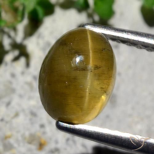 2.12ct 天然 アーシーイエロー キャッツアイアパタイト, 楕円形, 半透明