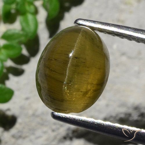 3.23ct 天然 コーヒーブラウン キャッツアイアパタイト, 楕円形, 半透明