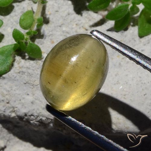 2.38ct 天然 ライトイエロー キャッツアイアパタイト, 楕円形, 半透明