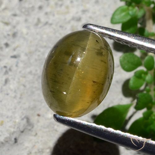 2.16ct 天然 ミディアムイエロー キャッツアイアパタイト, 楕円形, 半透明