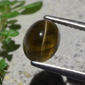2.01カラットの天然ミディアムダークブラウンキャッツアイアパタイト、オーバルカット、半透明