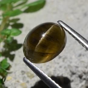 2.01カラットの天然ミディアムダークブラウンキャッツアイアパタイト、オーバルカット、半透明