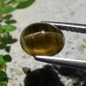 2.01カラットの天然ミディアムダークブラウンキャッツアイアパタイト、オーバルカット、半透明