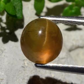 2.17カラットの天然オレンジCat's Eye Apatite（7.07 mm・ラウンドカット）