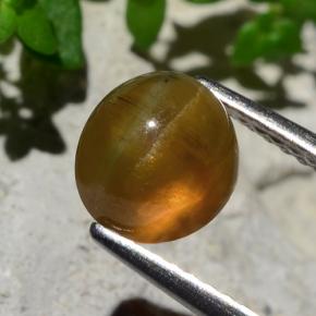 2.17カラットの天然オレンジCat's Eye Apatite（7.07 mm・ラウンドカット）