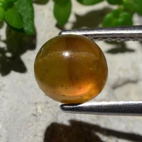 2.17カラットの天然オレンジCat's Eye Apatite（7.07 mm・ラウンドカット）
