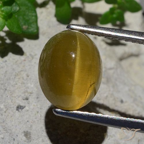 3.87ct 天然 アーシーイエロー キャッツアイアパタイト, 楕円形, 半透明