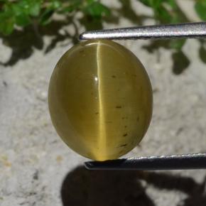 4.46カラットの天然ゴールドグリーンキャッツアイアパタイト、オーバルカット、半透明