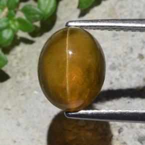 2.93カラットの天然ゴールデングリーンCat's Eye Apatite（9.1×7.3 mm・オーバルカット）