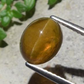 2.93カラットの天然ゴールデングリーンCat's Eye Apatite（9.1×7.3 mm・オーバルカット）
