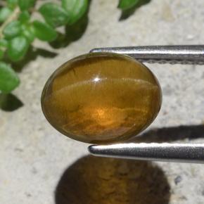 2.93カラットの天然ゴールデングリーンCat's Eye Apatite（9.1×7.3 mm・オーバルカット）