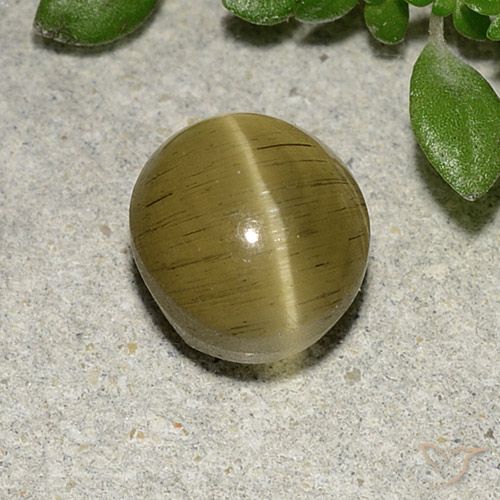 2.70ct 天然 ミディアムイエロー キャッツアイアパタイト, 楕円形, 半透明