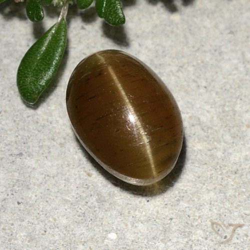 2.64カラットの天然ウォームブラウンキャッツアイアパタイト、オーバルカット、半透明