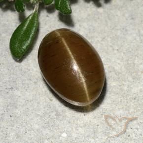 2.64カラットの天然ウォームブラウンキャッツアイアパタイト、オーバルカット、半透明