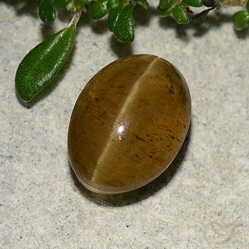 3.10ct 天然 ウォームブラウン キャッツアイアパタイト, 楕円形, 半透明