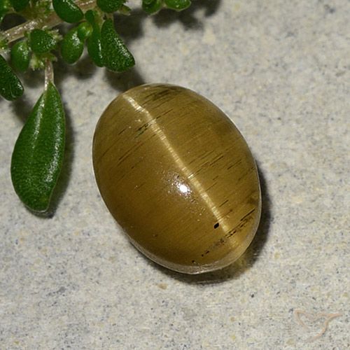 2.46カラットの天然茶色がかった黄色キャッツアイアパタイト