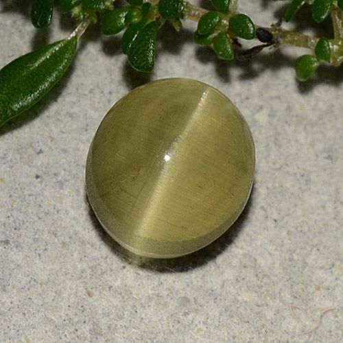 3.09ct 天然 アーシーイエロー キャッツアイアパタイト, 楕円形, 半透明