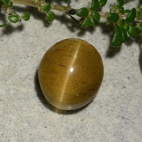 2.60カラットの天然茶色がかったゴールドCat's Eye Apatite（7.7×6.9 mm・オーバルカット）