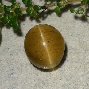 2.60カラットの天然茶色がかったゴールドCat's Eye Apatite（7.7×6.9 mm・オーバルカット）