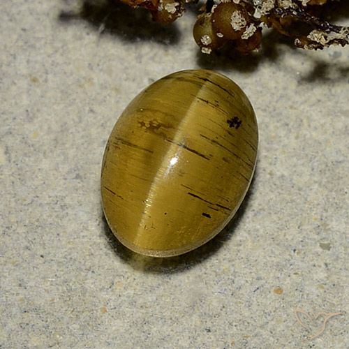 2.63ct 天然 アーシーイエロー キャッツアイアパタイト, 楕円形, 半透明