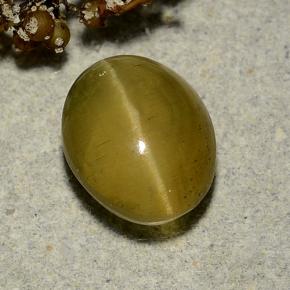 3.72カラットの天然ゴールドグリーンキャッツアイアパタイト、オーバルカット、半透明