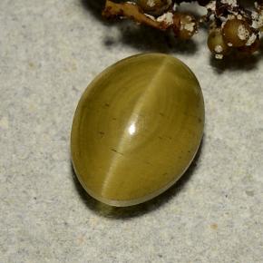 3.35カラットの天然ミディアムイエローCat's Eye Apatite（9.5×7.2 mm・オーバルカット）