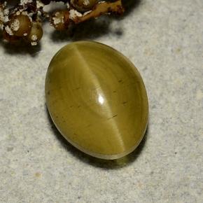 3.35カラットの天然ミディアムイエローCat's Eye Apatite（9.5×7.2 mm・オーバルカット）