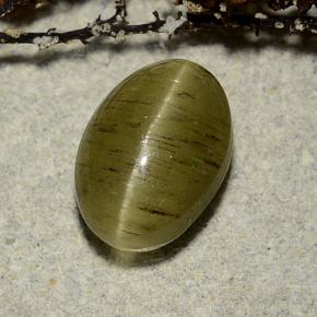 3.32カラットの天然イエローグリーンCat's Eye Apatite（10×7 mm・オーバルカット）