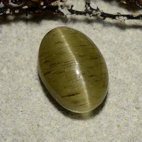 3.32カラットの天然イエローグリーンCat's Eye Apatite（10×7 mm・オーバルカット）
