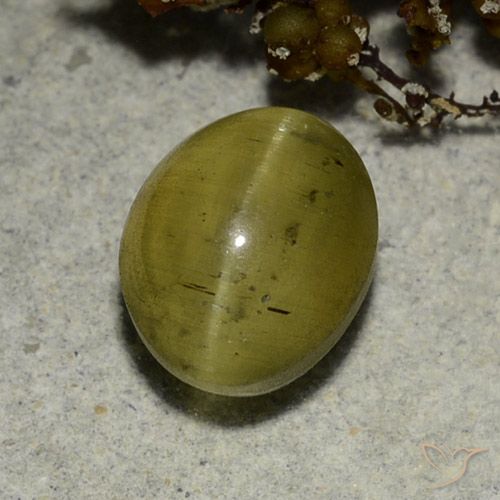 3.68ct 天然 ニュートラルイエロー キャッツアイアパタイト, 楕円形, 半透明